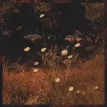 Image of Earth Patterns