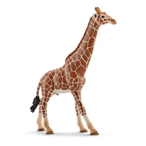 Image of SCHLEICH Wild Life Male Giraffe Toy Figure