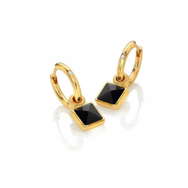 Image of Black Onyx Earrings DE737