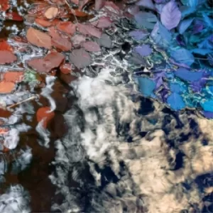 Image of The Leaf Factory Fallback by Inclusion Principle CD Album