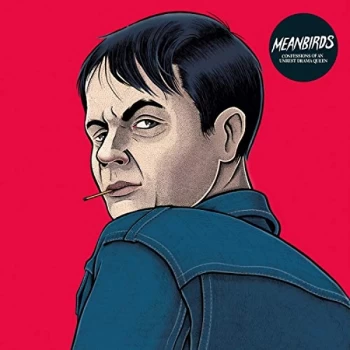 Image of Meanbirds - CONFESSIONS OF AN UNREST DRAMA QUEEN Vinyl