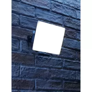 Image of IP65 LED Floodlight Black 50W - Auraglow