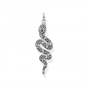 Image of Sterling Silver Zirconia Blackened Snake Pendant PE945-643-11