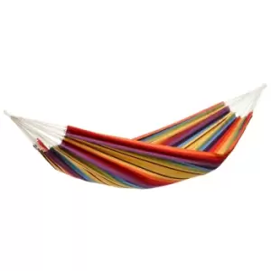 Image of 340438 Ds amazonas barbados rainbow h