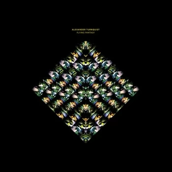 Image of Alexander Turnquist - Flying Fantasy Vinyl