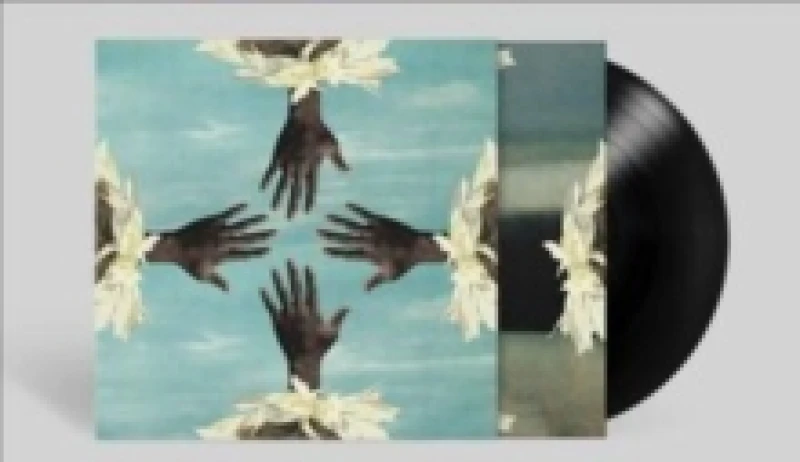 Image of Could We Be More Vinyl