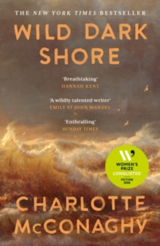 Image of Wild Dark Shore Paperback / softback