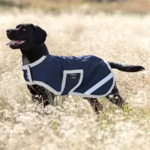 Image of Amigo Dog Rug Ripstop - Blue