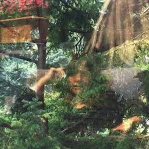 Image of Jennifer Castle - Angels Of Death Vinyl