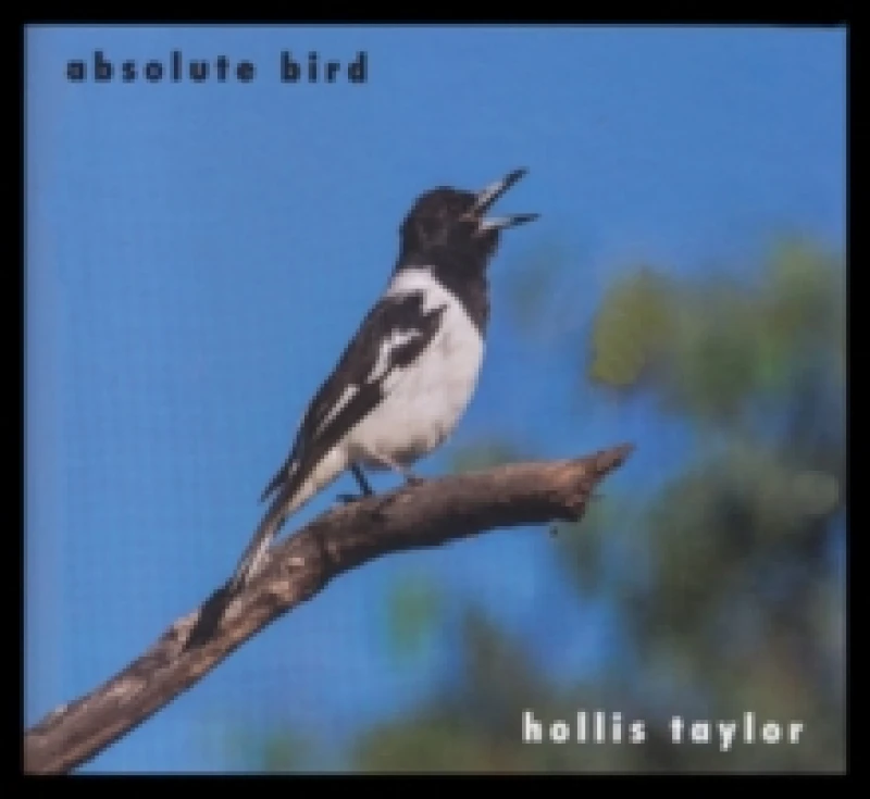 Image of Hollis Taylor: Absolute Bird CD / Album
