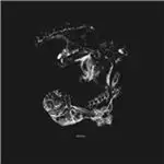 Image of Impaled - Death After Life (Music CD)