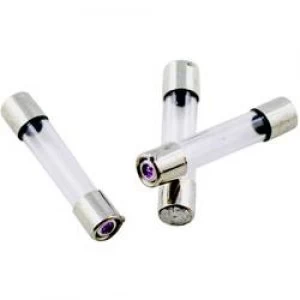 Image of Micro fuse x L 5mm x 25mm 0.5 A 250 V Medium time lag mT