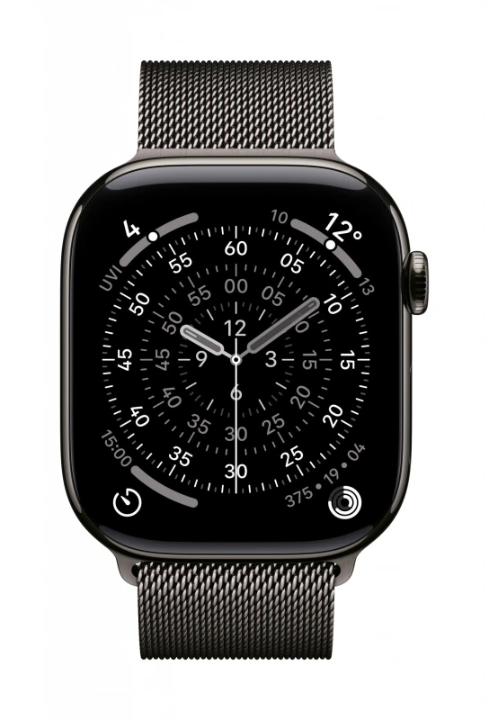 Image of Apple Apple MGJ64ZM/A Smart Wearable Accessories Band Slate colour Stainless steel MGJ64ZM/A