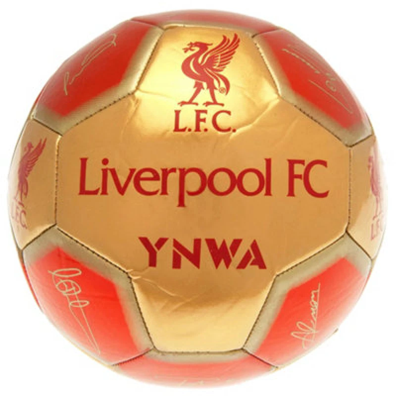 Image of Liverpool Fc Signature 26 Panel Football Red (5)