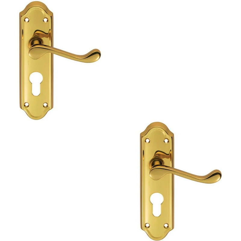 Image of Loops 2x PAIR Victorian Upturned Lever on Euro Lock Backplate 168 x 47mm Brass Metallics