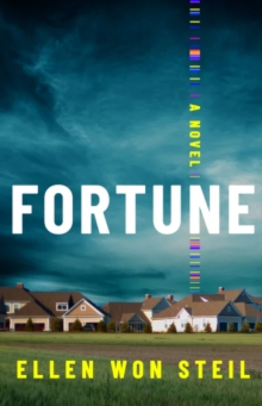 Image of Fortune : A Novel Paperback / softback