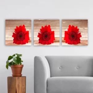 Image of P649730 Multicolor Decorative Canvas Painting (3 Pieces)