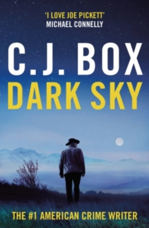 Image of Dark Sky Paperback / softback