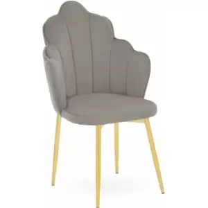 Image of Tian Grey Velvet Dining Chair - Premier Housewares