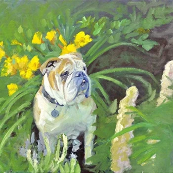 Image of Suneaters - Suneaters III: Unfathomable Darkness CD