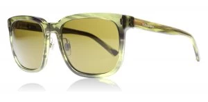 Image of Dolce & Gabbana DG4271 Sunglasses Striped Olive Green 292673 56mm
