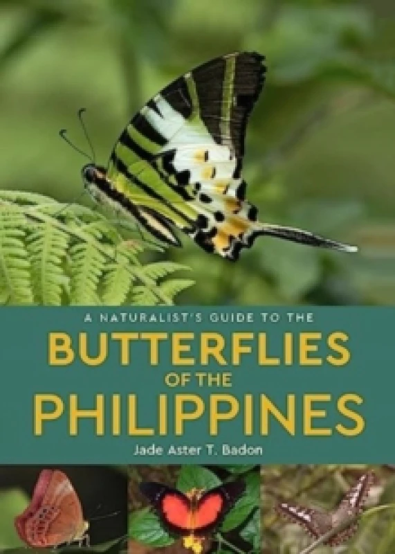 Image of A Naturalist's Guide to the Butterflies of the Philippines Paperback / softback