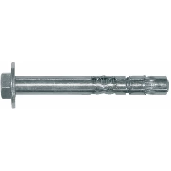 Image of ok Expansion Anchor, Bolt Projecting, M10/12X100L ZP - Rawl