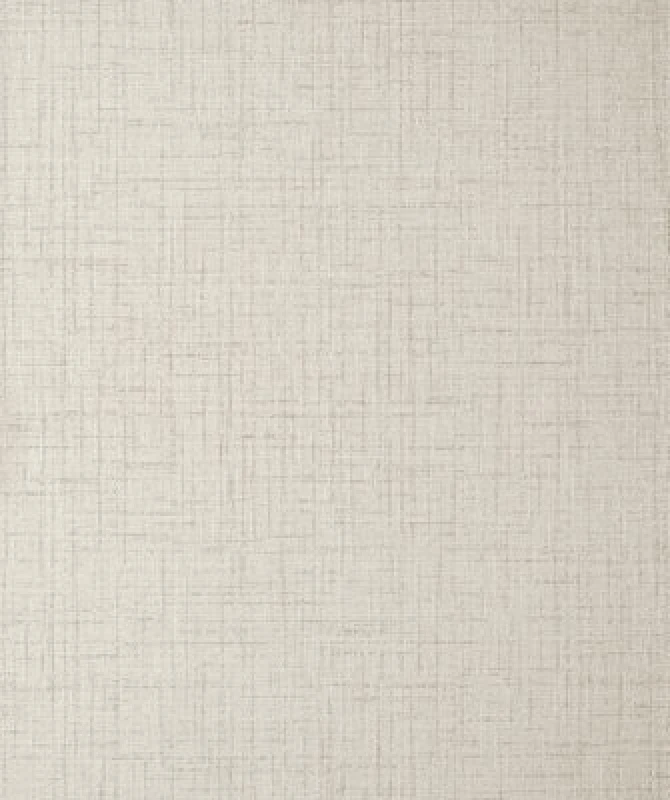 Image of Fine Decor Grace Texture Wallpaper - Stone One Colour VNM9C Unisex