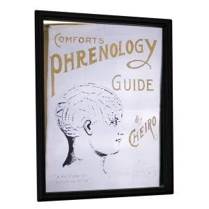 Image of Retro Mirrored Wall Sign, Phrenology