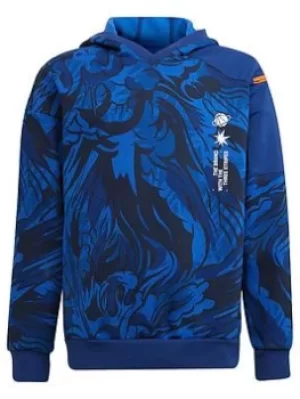 Image of Adidas Junior Boys Arkd3 Wr Hoodie
