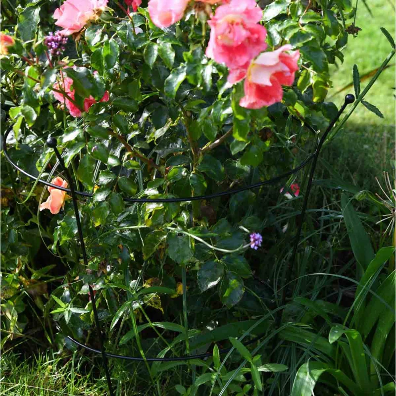 Image of Garden Gear Medium Peony Frame Outdoor Heavy Duty Herbaceous Garden Plant Support Ring For Perennial Flowers Border Cage 63Cm X 34Cm (X2)