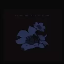 Image of Digital Ash in a Digital Urn