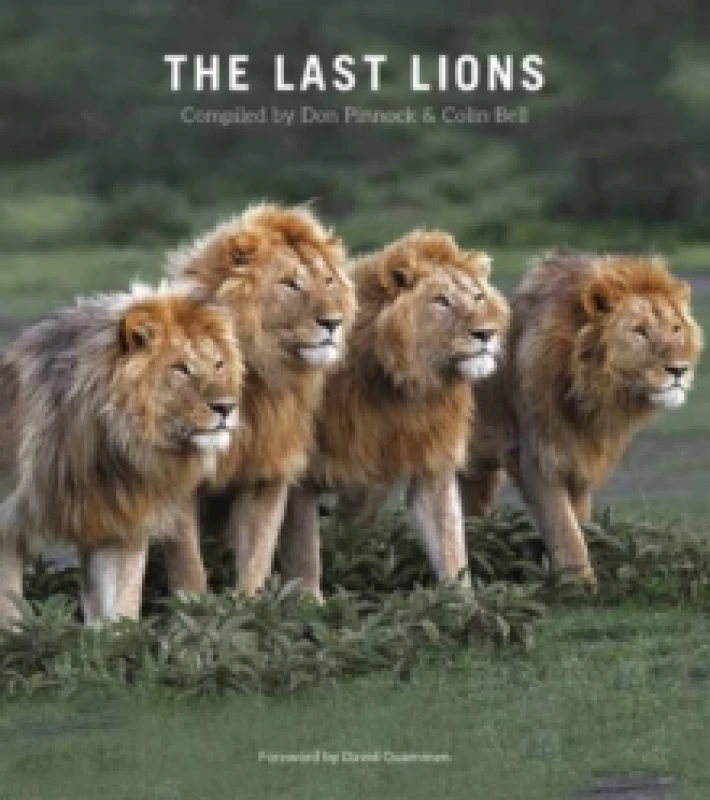 Image of The Last Lions Paperback / softback