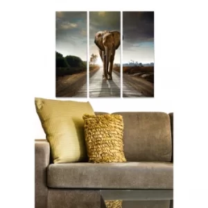 Image of MDF60414424 Multicolor Decorative MDF Painting (3 Pieces)