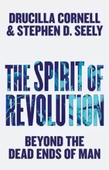 Image of The spirit of revolution by Drucilla Cornell