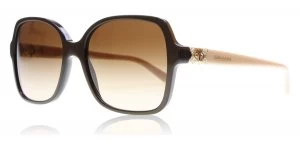 Image of Bvlgari BV8164B Sunglasses Cocoa 897/13 56mm