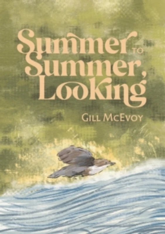 Image of Summer to Summer, Looking Paperback / softback