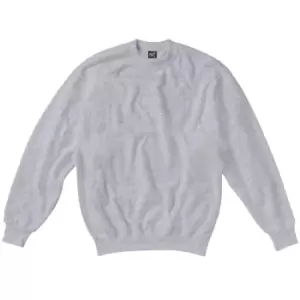 Image of SG Kids/Childrens Crew Neck Sweatshirt Top (7-8) (Light Oxford)
