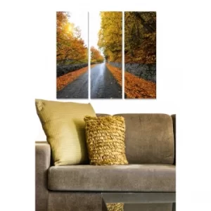 Image of MDF86559052 Multicolor Decorative MDF Painting (3 Pieces)