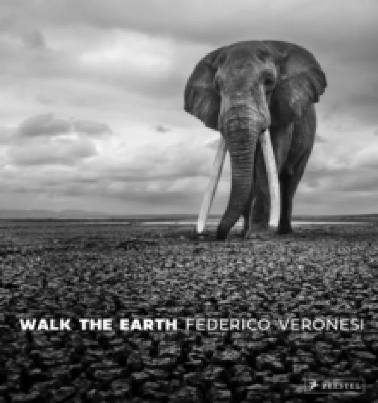 Image of Walk the Earth : Photographs of Africa's Last Great Elephants Hardback