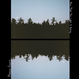 Image of Maggie Rogers - Now That The Light Is Fading Vinyl