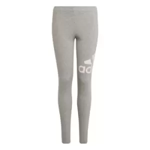 Image of adidas BI Leggings Junior Girls - Grey