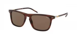 Image of Polo Ralph Lauren Sunglasses PH4168 500773