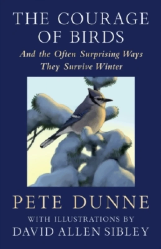 Image of The Courage of Birds : And the Often Surprising Ways They Survive Winter Hardback
