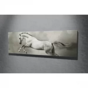 Image of PC016 Multicolor Decorative Canvas Painting