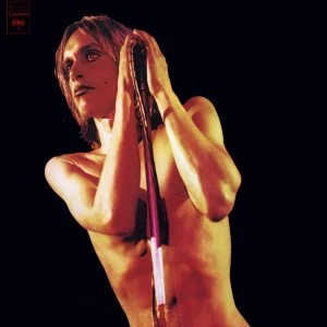 Image of Iggy And The Stooges - Raw Power Vinyl