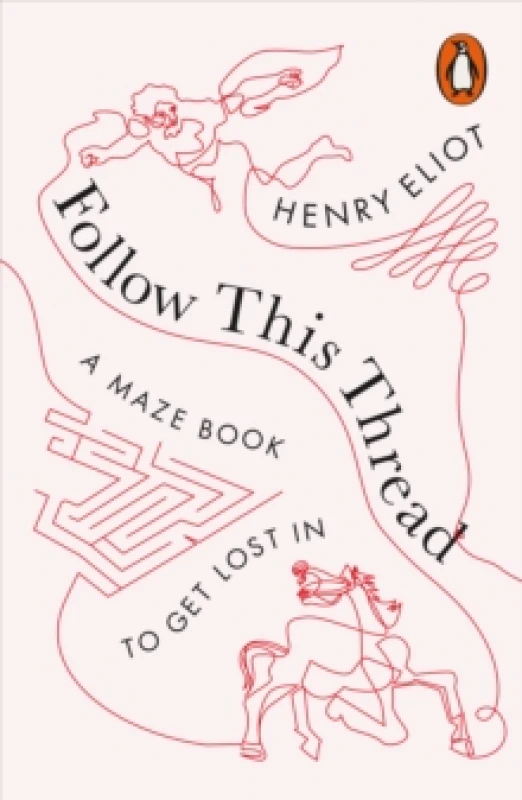Image of Follow This Thread : A Maze Book to Get Lost In Paperback / softback