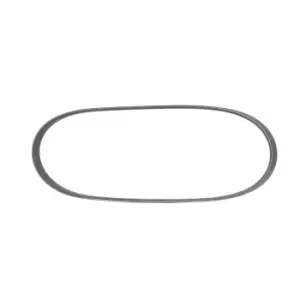 Image of RIDEX V-ribbed belt BMW,OPEL,FIAT 305P0533 64552246732,9004831013000,9004831018000 46443510,46557131,31110P1KE03,4451A084,1354722,90512538,4918160A00