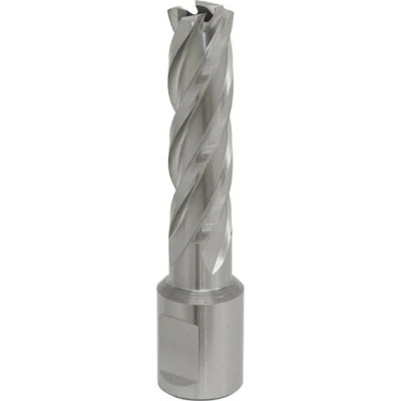 Image of Loops 14mm x 50mm Depth Rotabor Cutter - M2 Steel Annular Metal Core Drill 19mm Shank Metallics