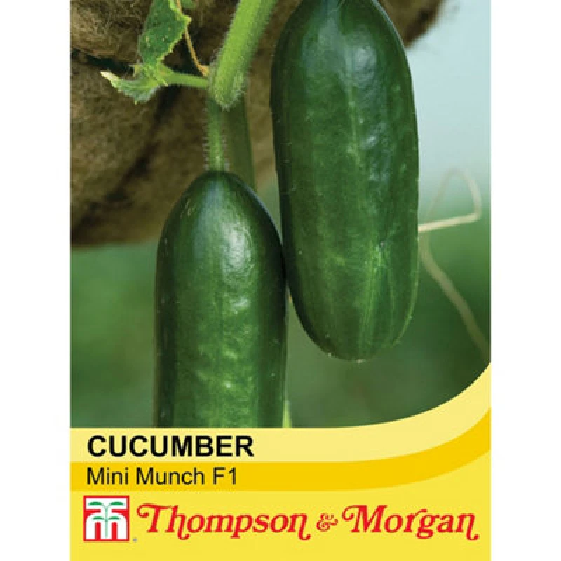 Image of Thompson & Morgan Cucumber Mini Munch F1 Hybrid 1 Seed Packet
